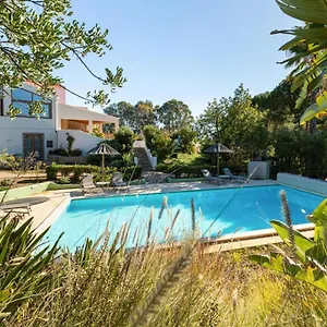 *** Bed & Breakfast Casa Do Palmeiral - Hoom Portugal